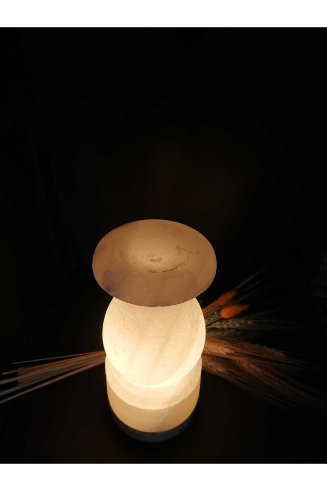 Vazo Model Çankırı Kaya Tuz Lambası